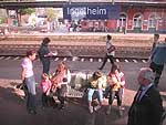 ingelheim